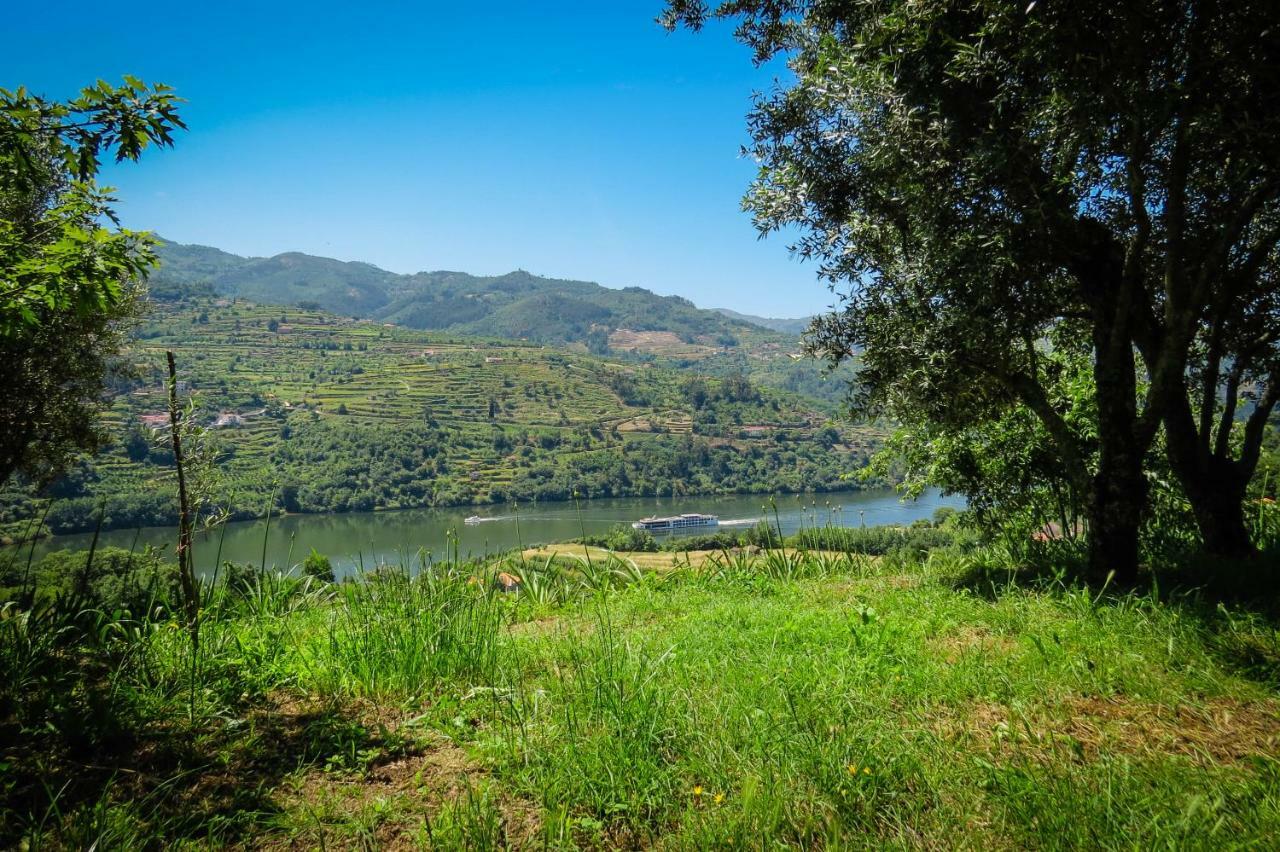 Casa Da Mouta - Douro Valley Baião Buitenkant foto