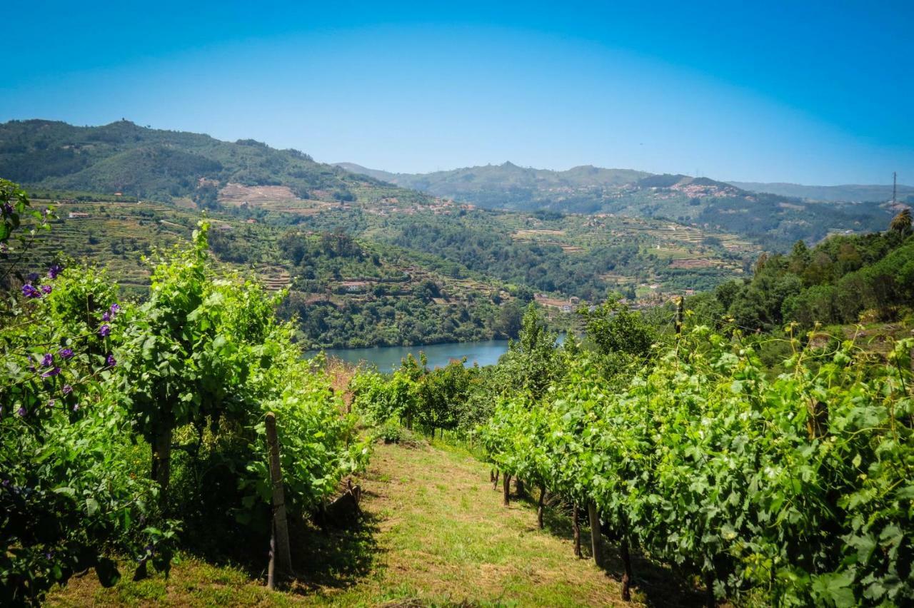 Casa Da Mouta - Douro Valley Baião Buitenkant foto