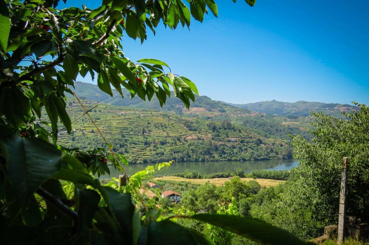 Casa Da Mouta - Douro Valley Baião Buitenkant foto