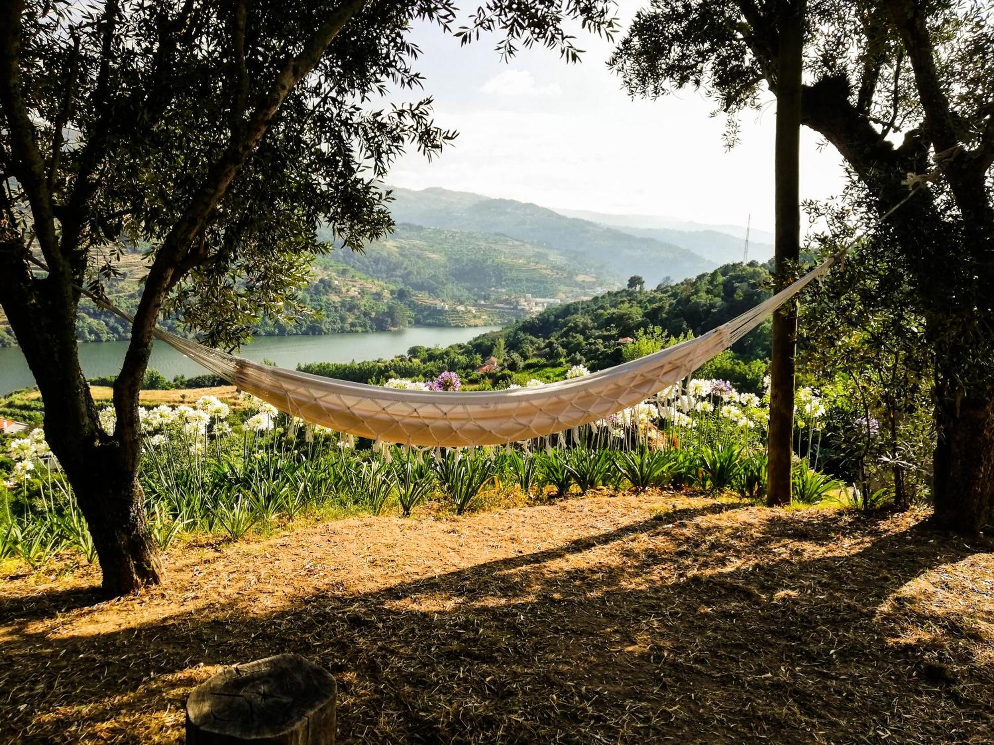 Casa Da Mouta - Douro Valley Baião Buitenkant foto